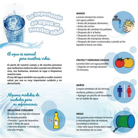 La Importancia Del Agua En Nuestra Salud Salud Salud Y Belleza