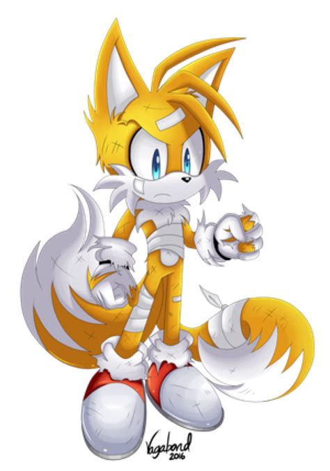 Battle Scarred Tails By Vagabondwolves On Deviantart Tails Sonic The