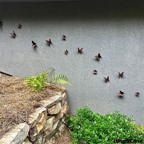 15 Pieces Metal Garden Animal Sculpture Rusted Metal Yard Decor Rusted