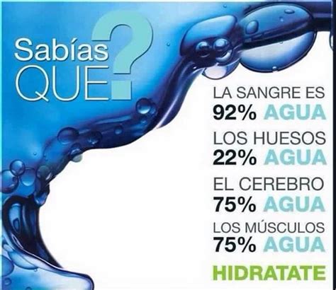 La Importancia Del Agua Importancia Del Agua Beneficios De Tomar