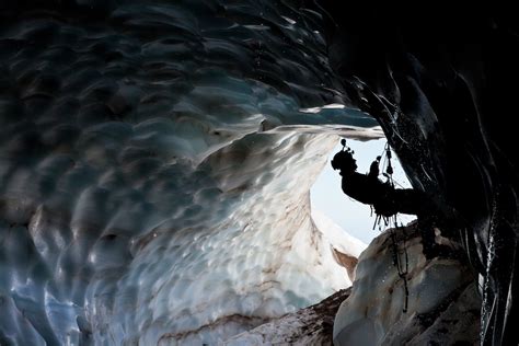 Real Dragon Found In Ice The Image Kid Has It