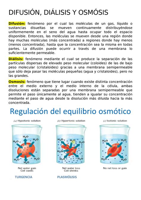 Difusion Osmosis Y Dialisis DifusiÓn DiÁlisis Y OsmÓsis Difusión