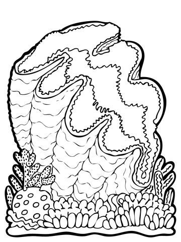 Giant Clam Coloring Page From Clam Category Select From