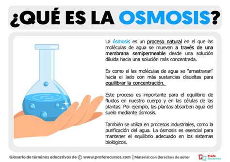 Qué Es La Ósmosis Definición De Ósmosis