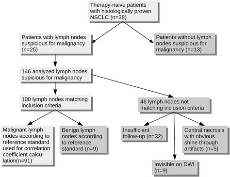 Lymph Flow Chart A Visual Reference Of Charts Chart Master