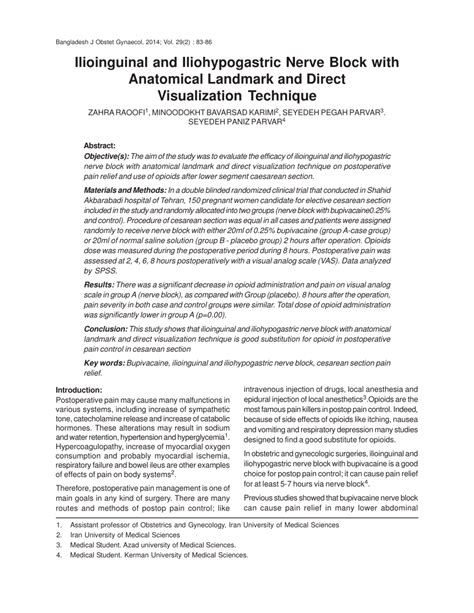 Pdf Ilioinguinal And Iliohypogastric Nerve Block With Anatomical