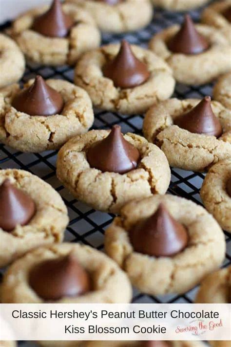 Much like that peanut butter version, these need to be rolled into balls and baked just like that, so they don't spread too much. A classic Christmas cookie in my house are the Hershey ...