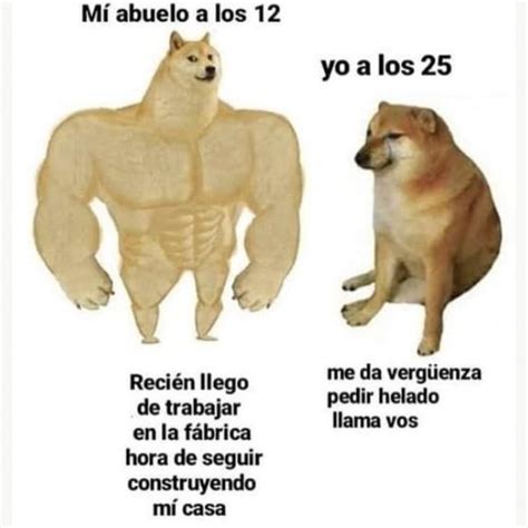 Conoce La Historia De Cheems El Perrito Que Inspiró Los Divertidos Memes