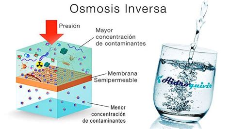 ¿qué Es La ósmosis