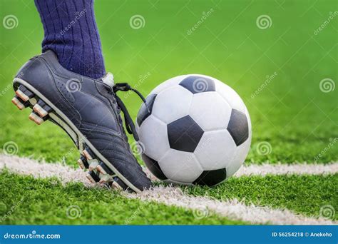 Shoot A Soccer Ball Stock Photo Image Of Match Park 56254218