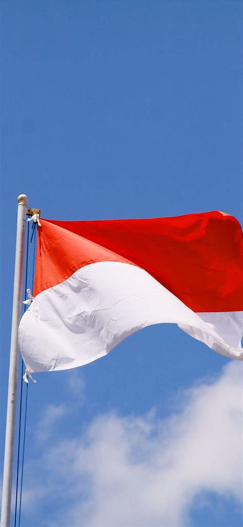 Jayalah Indonesia Ku Flag Of Indonesia Hd Phone Wallpaper Pxfuel