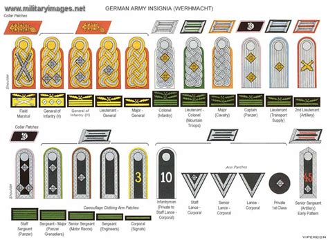 German Army Ranks Ww2 A Military Photo And Video Website