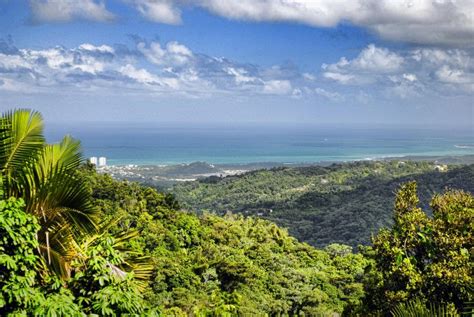 El Yunque Puerto Rico