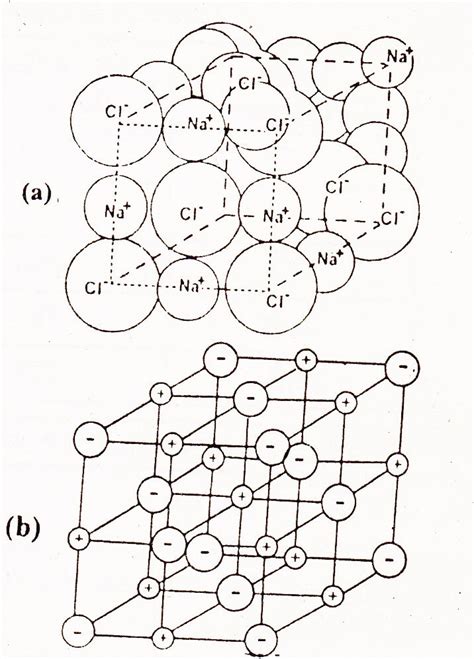 Structure Of Sodium Chloride Chemistry Skills