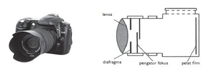 Alat Optik Pengertian Jenis Macam Rumus Dan Gambar Berbagi