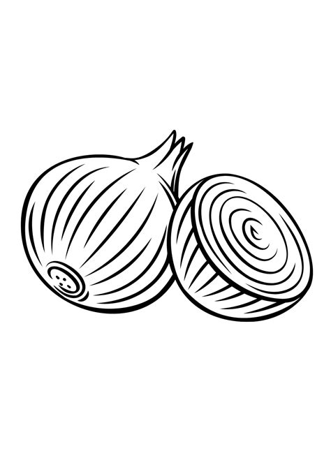 Images Onion Coloring Page Free Printable Coloring Pages