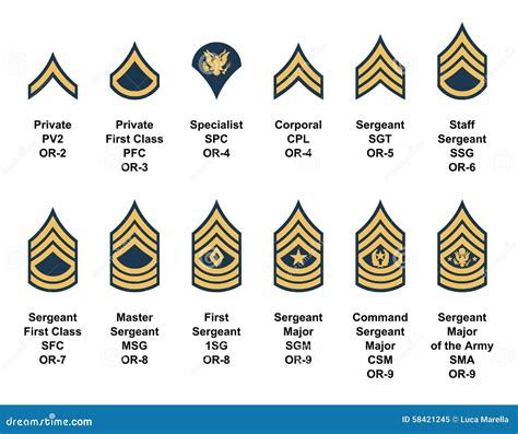 Army Insignia Rank Stock Illustrations 4733 Army Insignia Rank Stock