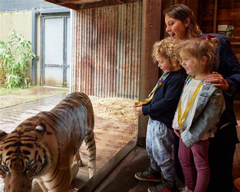 School Holiday Ideas 26 Of The Best Things To Do In Sydney With Kids