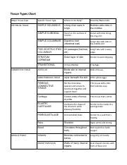 Intro To Tissues Chart Pdf Tissue Types Chart Major Tissue Type