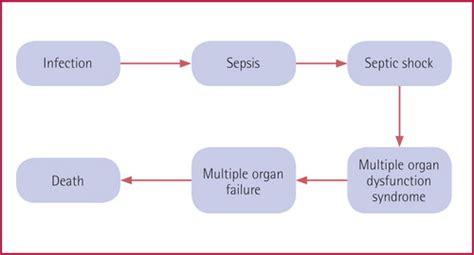 Sepsis Pathophysiology Diagram