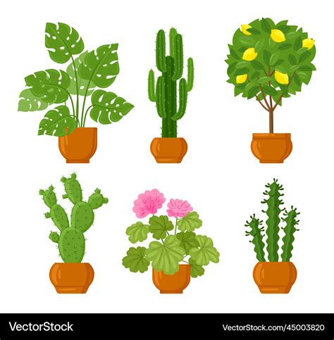 Cartoon House Botanical Decor Potted Plants Vector Image