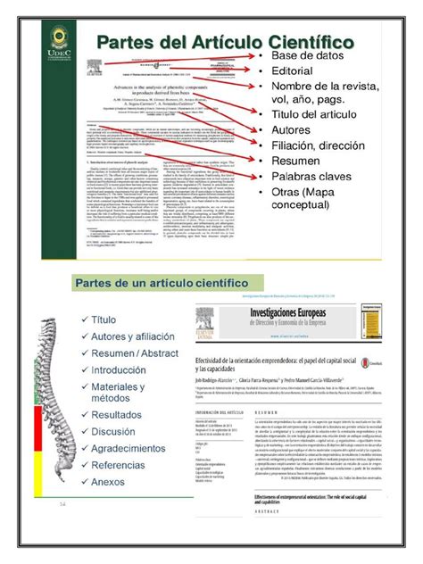 Partes De Un Articulo Cientifico Science Ciencia Cognitiva