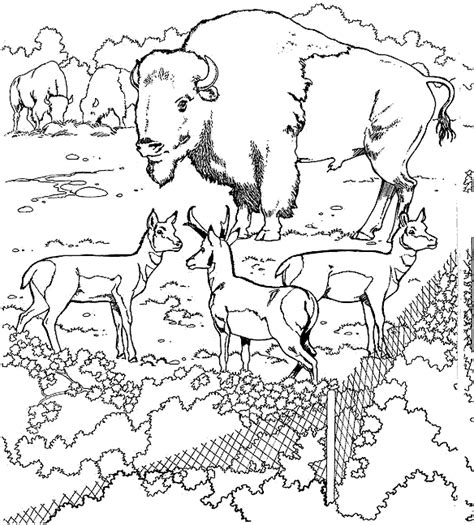 Coloriage Le Zoo Gratuit 11704 Animaux