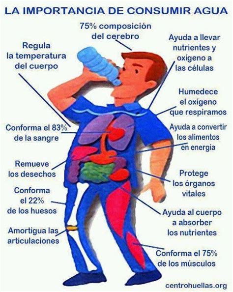 Infografía La Importancia De Consumir Agua Beneficios De Beber Agua