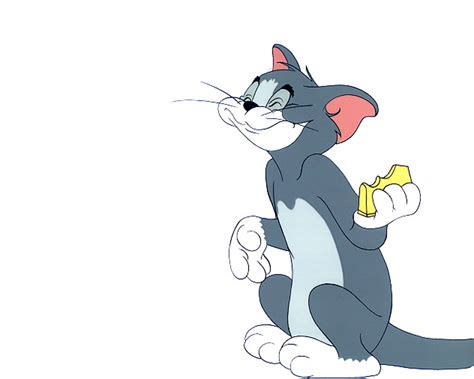 Tom Tom And Jerry Wallpaper 8965204 Fanpop Page 10