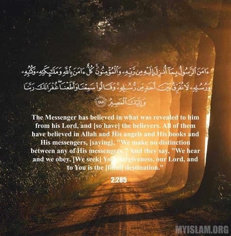 Last 2 Verses Of Surah Baqarah Quran Quotes Verses Quran Verses Verses