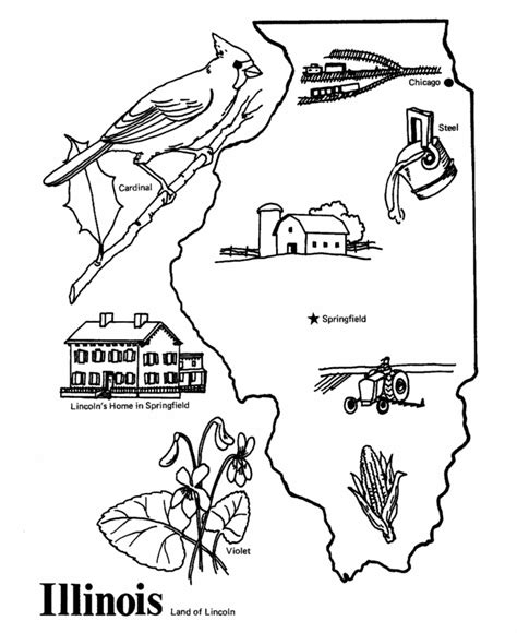 Usa Printables State Outline Shape And Demographic Map State Of