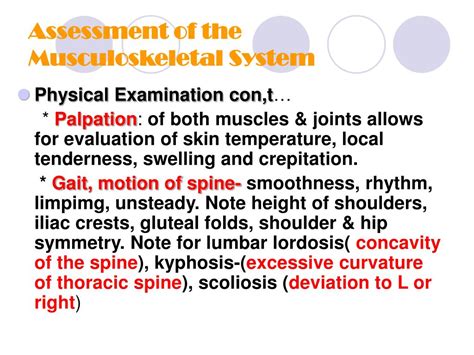 Ppt Assessment Of The Musculoskeletal System Powerpoint Presentation