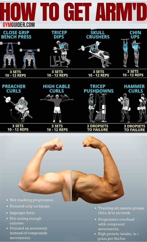 How To Workout Your Arms At The Gym