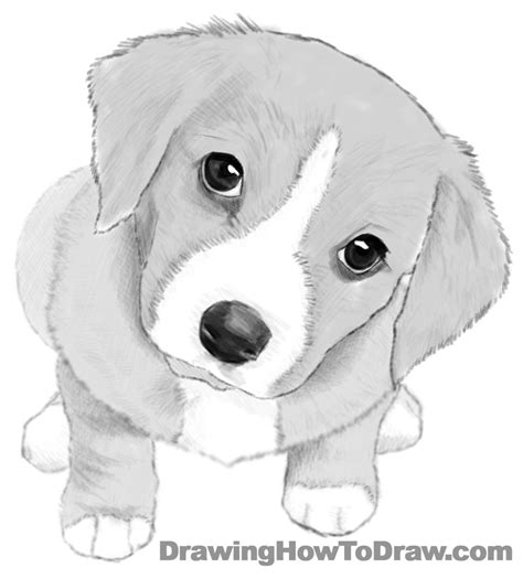 Best Free Sketches To Draw Dog Multisete With Creative Ideas