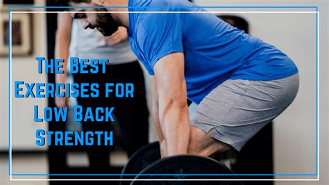 What To Eat To Strengthen Lower Back  A Comprehensive Guide