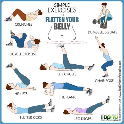 Which Exercise Can Lose Belly Fat 