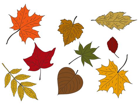 Fall Leaves 10 Free Pdf Printables Printablee