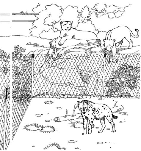 Coloriage Le Zoo Gratuit 11727 Animaux