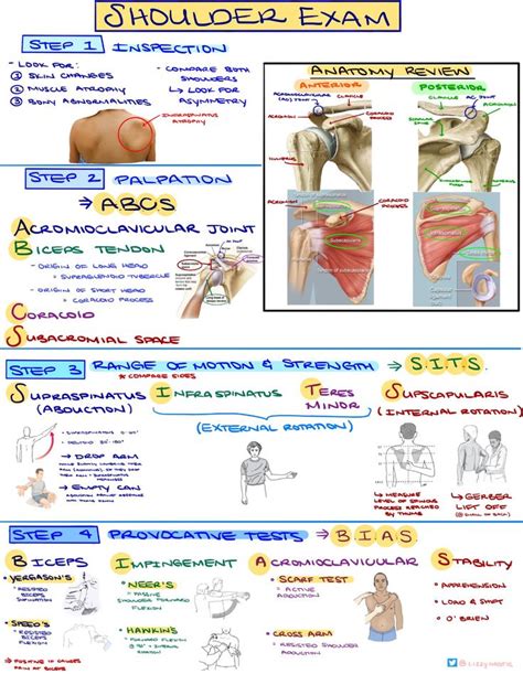 Shoulder Examination Step 1 Inspection Step 2 Palpation Physical