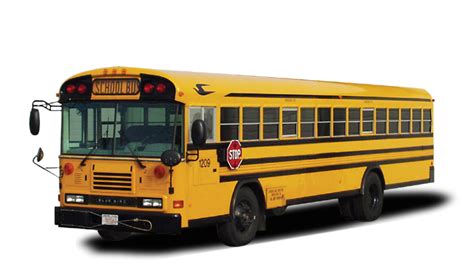 School Bus Transparent Png All