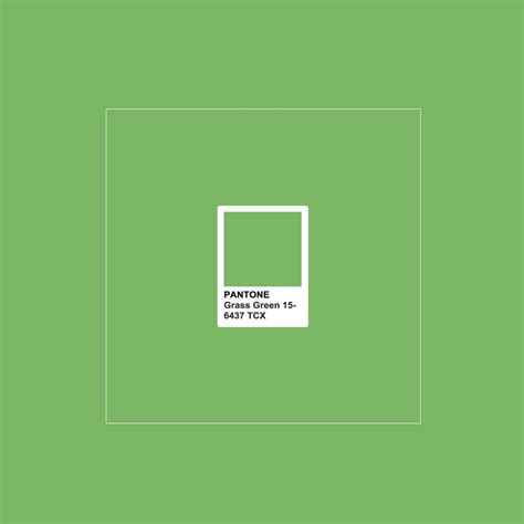 Grass Green Pantone 2019 Pantone Colour Palettes Pantone Color