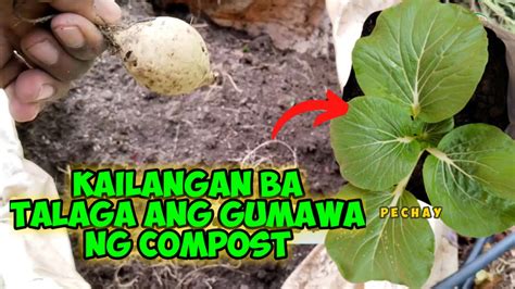 GAANO KAHALAGA ANG PAGKAKAROON NG VERMICOMPOSTING YouTube