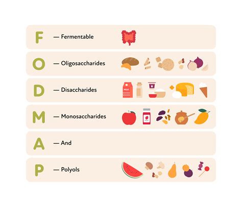 The Low Fodmap Diet A Comprehensive Guide Icarebetter