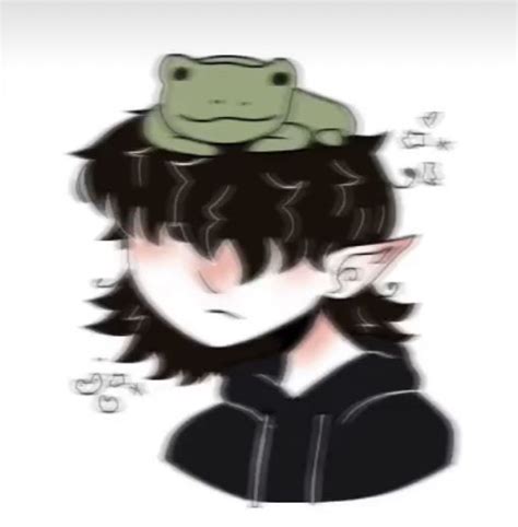 Frog Hat Pfp Frog Pfp In 2021 Kalarisala