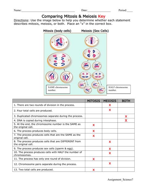 Unit 6 Outcome 1 Meiosis Coloring Worksheet Worksheets Library