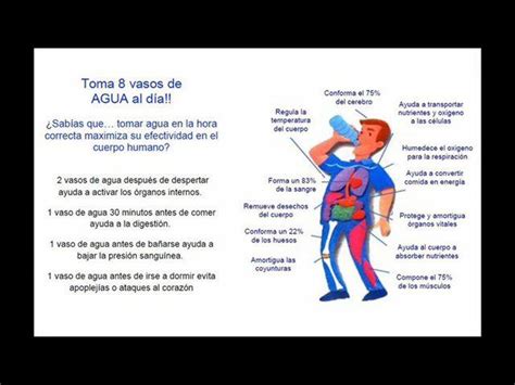 Nutrición Saludable La Importancia Del Agua Tomar 8 Vasos De Agua Al Dia