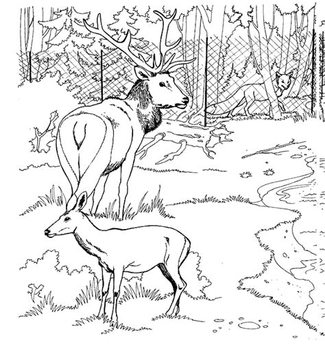 Coloriage Le Zoo Gratuit 11716 Animaux