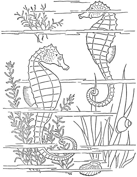 Coloring Pages Of Ocean Scenes Coloring Home Free Printable Ocean