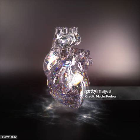 Glass Human Heart Photos And Premium High Res Pictures Getty Images