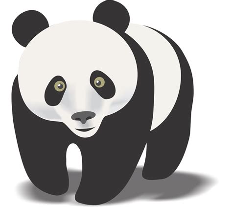 Panda Clipart Gclipart Riset